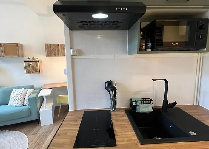 Apartment Les Nids De Le Colibri